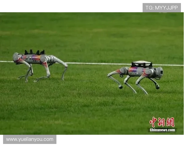 智慧引领未来 CMG世界机器人技能大赛暨首届机器狗田径赛盛大启幕